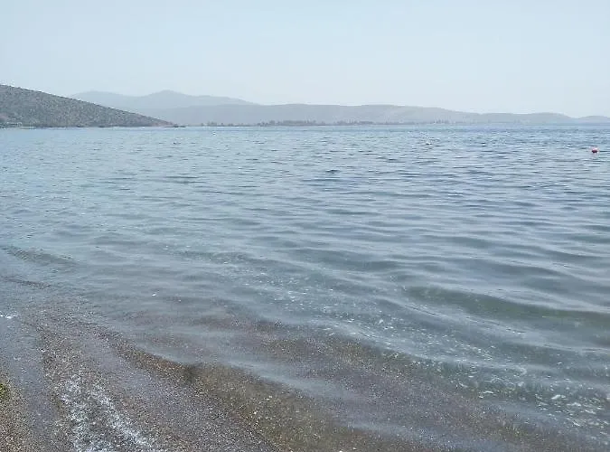 πενυ καντια 1ος ν 4 Appartamento *